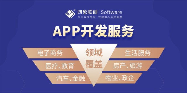 成都高新区APP软件定制公司