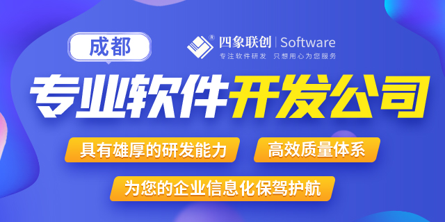 成都高新区软件开发外包公司