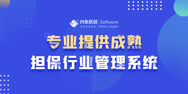 融资性担保机构综合业务管理系统的价值