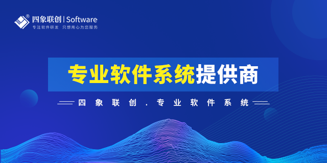 成都软件系统集成开发公司