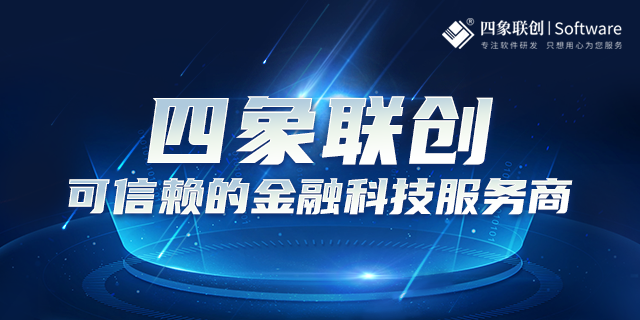 担保公司监管系统解决方案