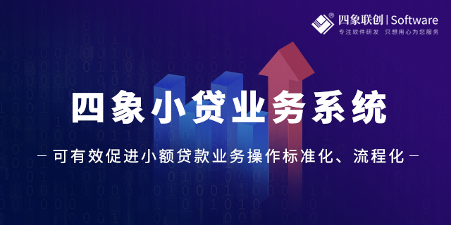 小额贷款业务综合管理系统