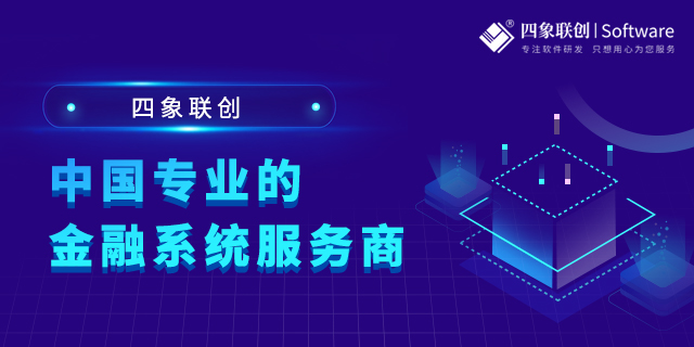 小额贷款监管管理软件