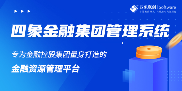 融资租赁系统，提升业务效率与风险管理的利器