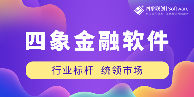 金融软件开发公司