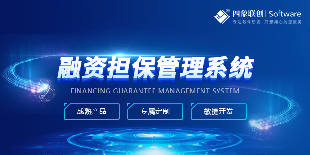 融资担保系统助力企业管理效率提升